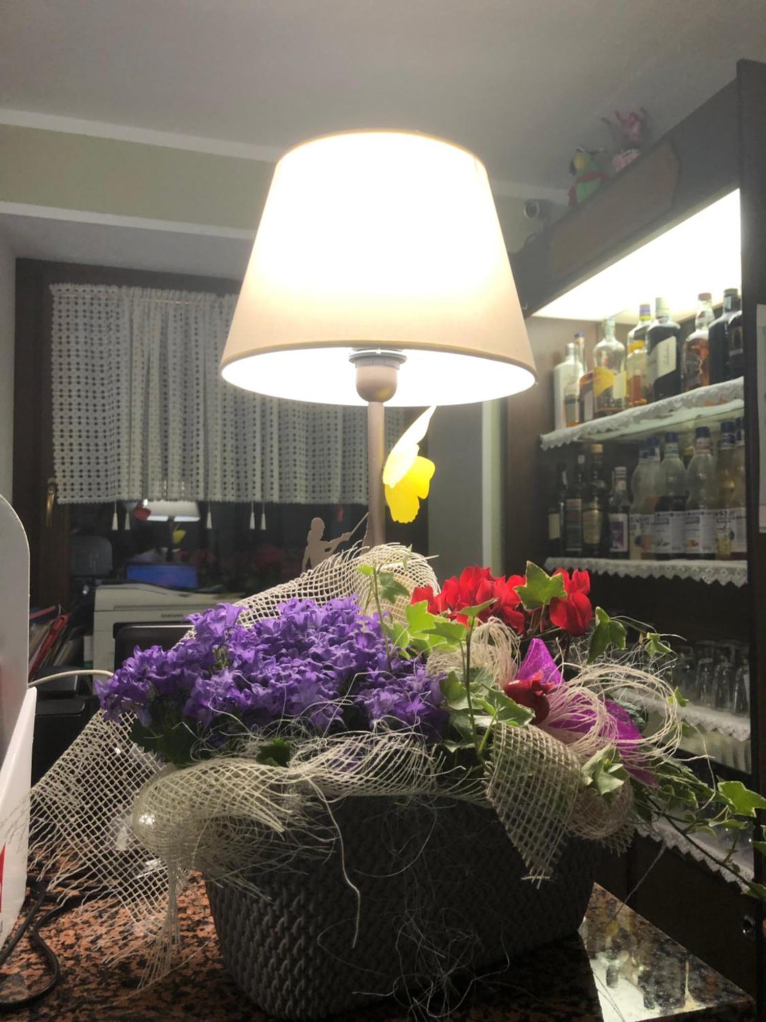 Maison Constance Bionaz エクステリア 写真